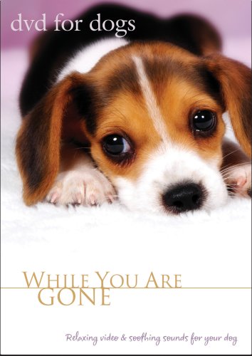 DVD For Dogs: While You Are Gone Relaxing Dog Video, Dog Movie for Separation Anxiety