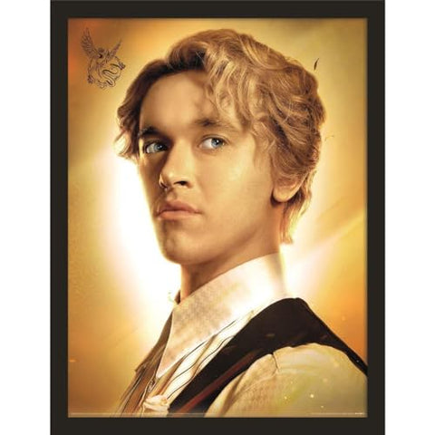 The Ballad Of Songbirds & Snakes: Hunger Games Framed Print, 30x40cm