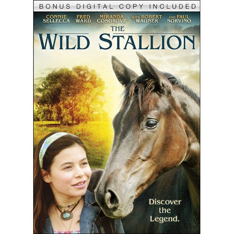 The Wild Stallion