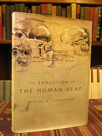 The Evolution of the Human Head