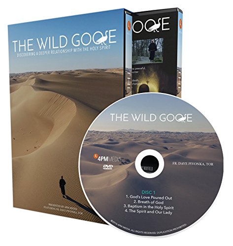 The Wild Goose: Discovering a Deeper Relationship with the Holy Spirit