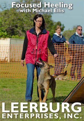 Focused Heeling with Michael Ellis