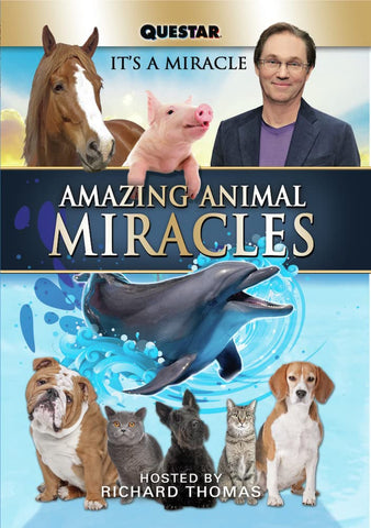 Amazing Animal Miracles [DVD]