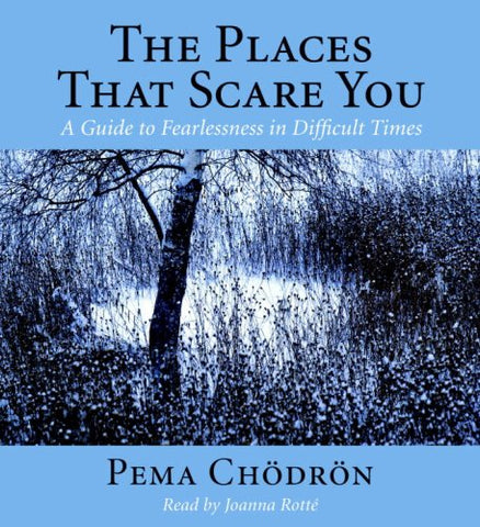 The Places That Scare You: A Guide to Fearlessness in Difficult Times