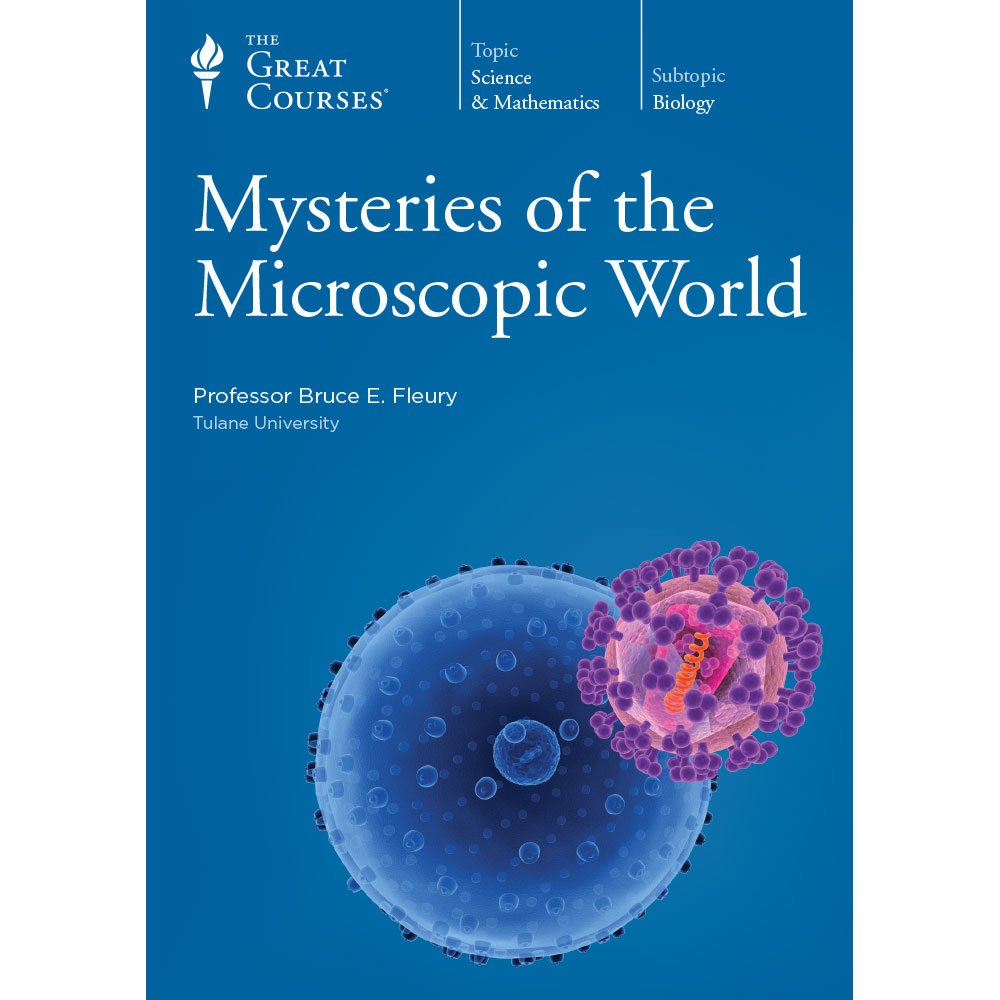 Mysteries of the Microscopic World
