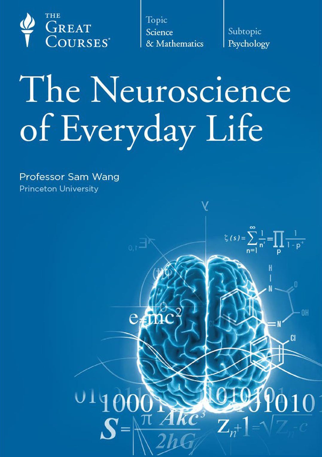 The Neuroscience of Everyday Life