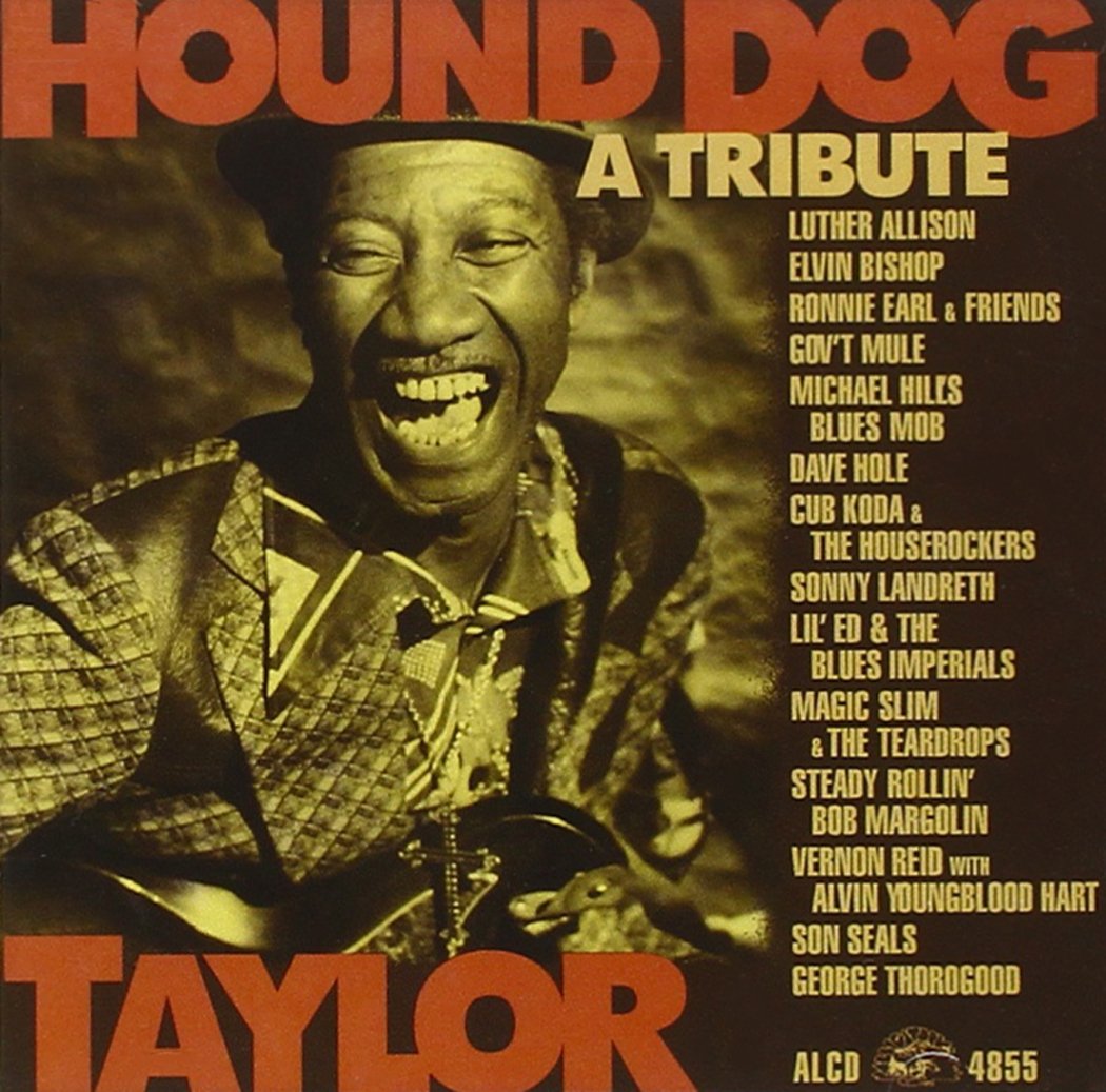 Hound Dog Taylor: Tribute