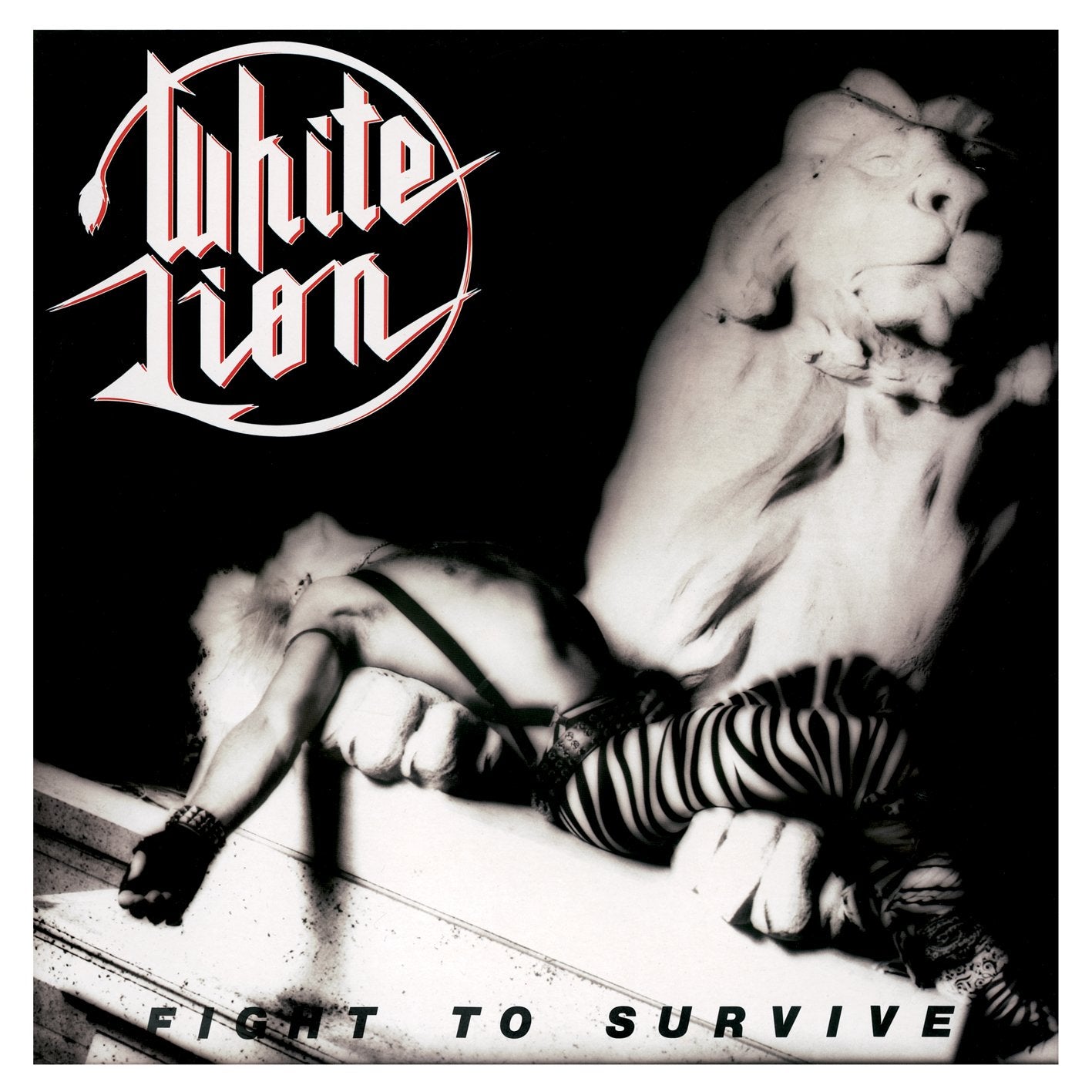 Fight to Survive