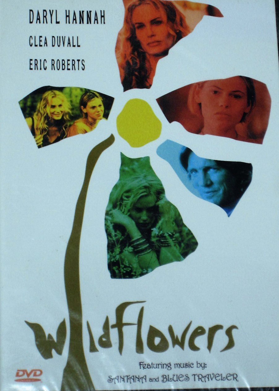 Wildflowers