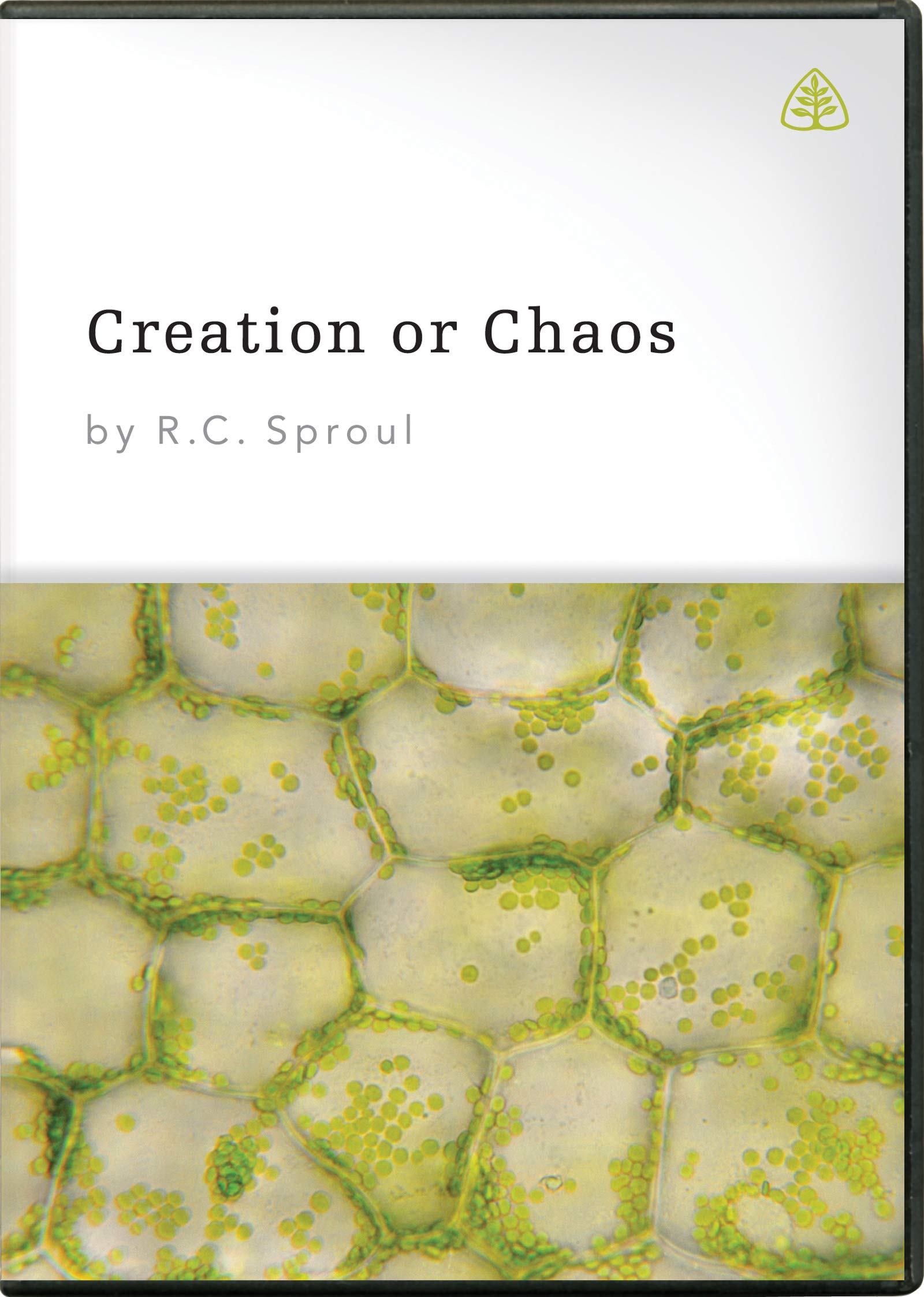 Creation or Chaos: Modern Science and the Existence of God