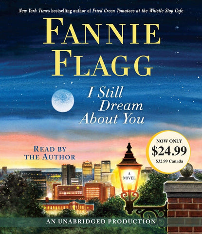 I Still Dream About You: A Novel