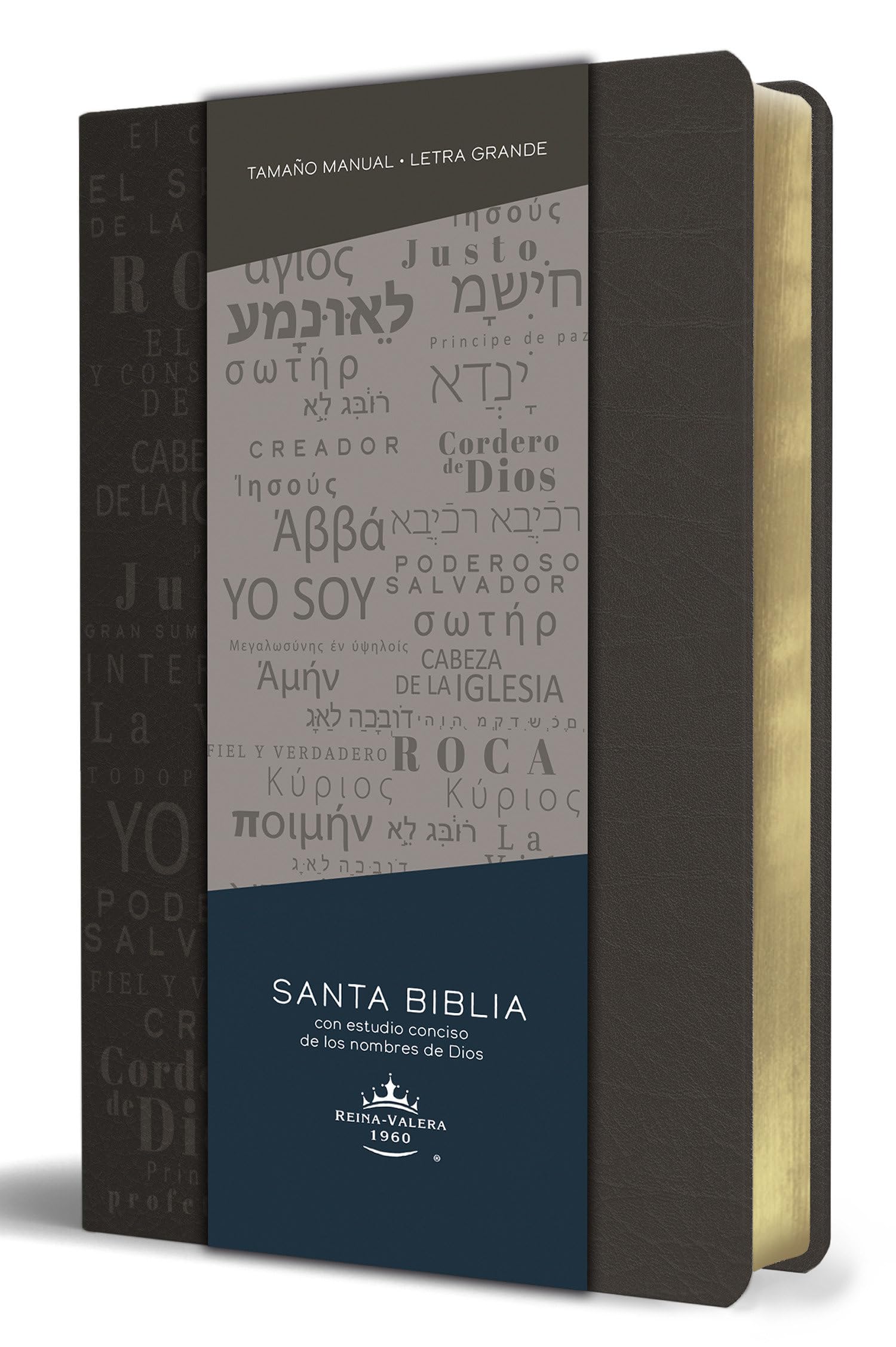 Biblia RVR 1960 letra grande tamaño manual, simil piel gris con nombres de Dios / Spanish Bible RVR 1960 Handy Size Large Print Leathersoft Grey, Names of god (Spanish Edition)