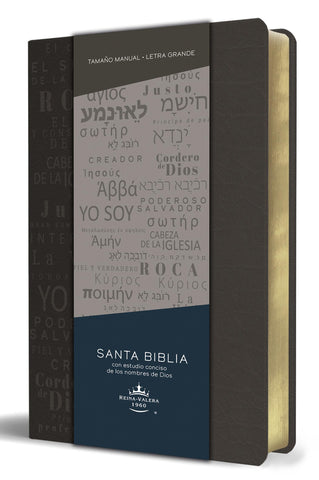 Biblia RVR 1960 letra grande tamaño manual, simil piel gris con nombres de Dios / Spanish Bible RVR 1960 Handy Size Large Print Leathersoft Grey, Names of god (Spanish Edition)