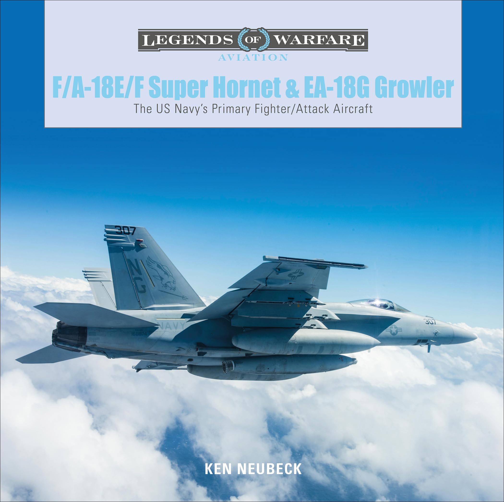 F/A-18E/F Super Hornet and EA-18G Growler: The US Navy’s Primary Fighter/Attack Aircraft (Legends of Warfare: Aviation, 28)