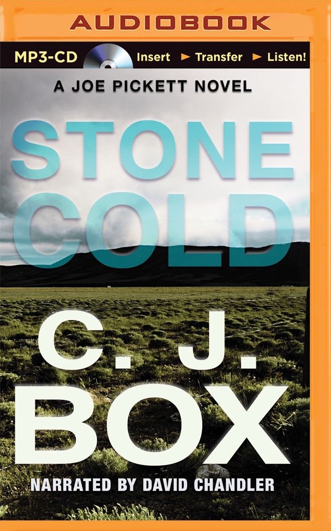 Stone Cold (Joe Pickett Series, 14)
