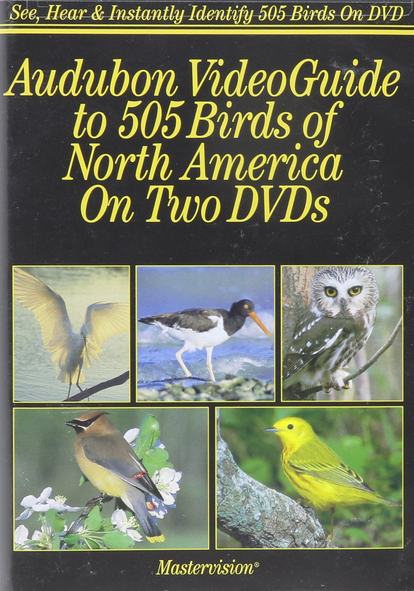 Audubon VideoGuide to 505 Birds of North America