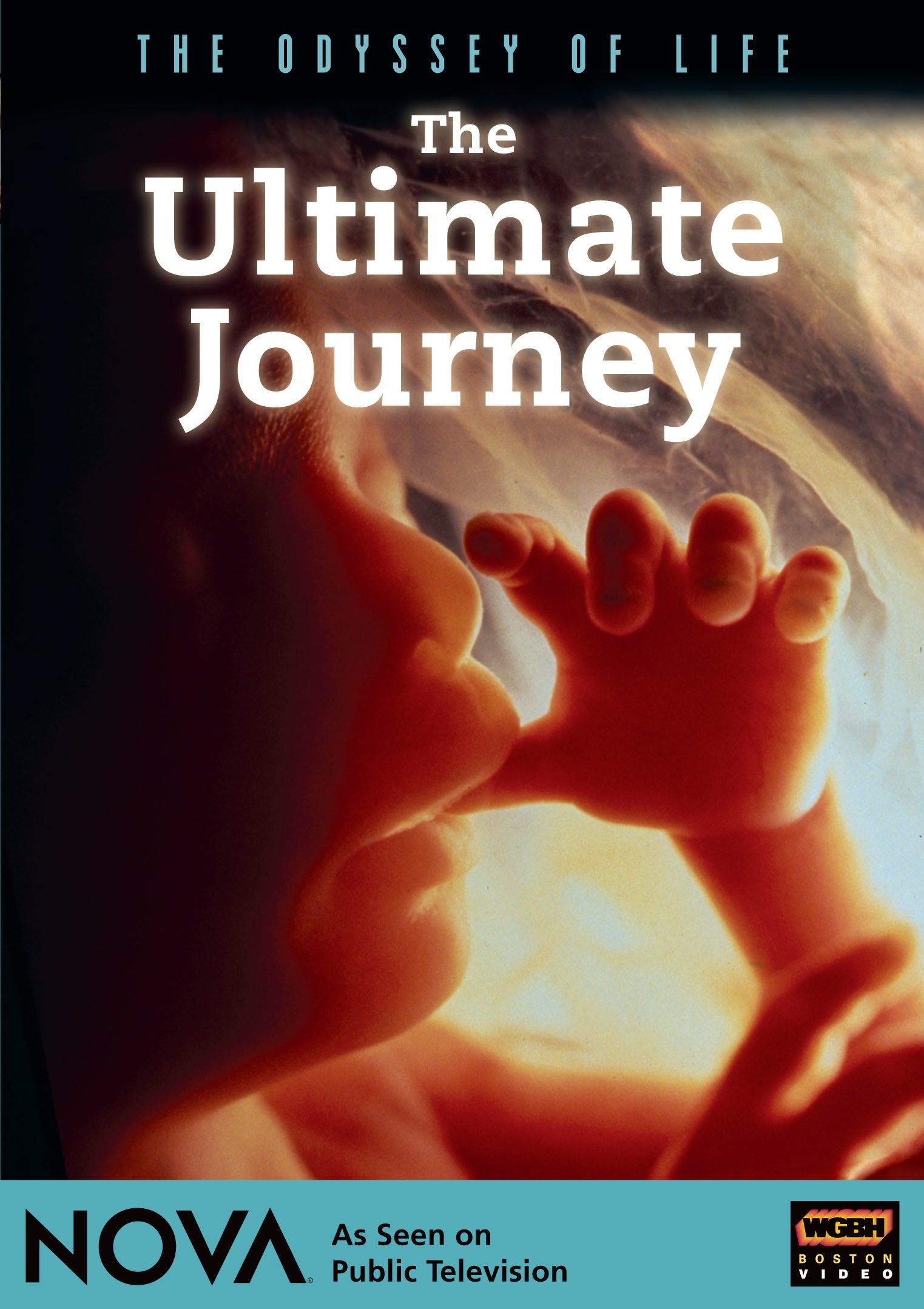 The Ultimate Journey