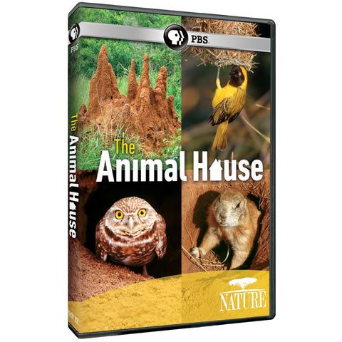 Nature: The Animal House