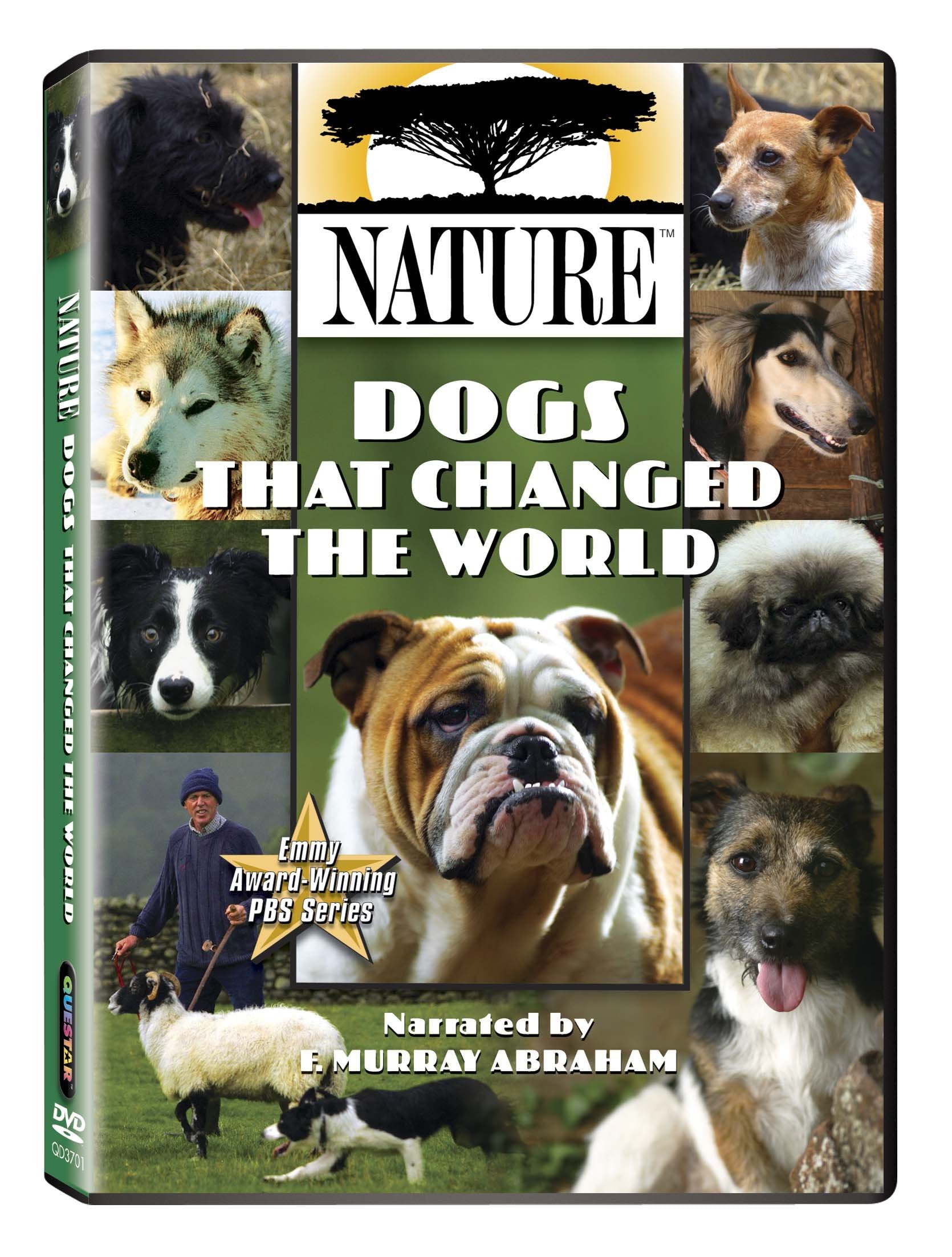 Nature: Dogs That Changed the World