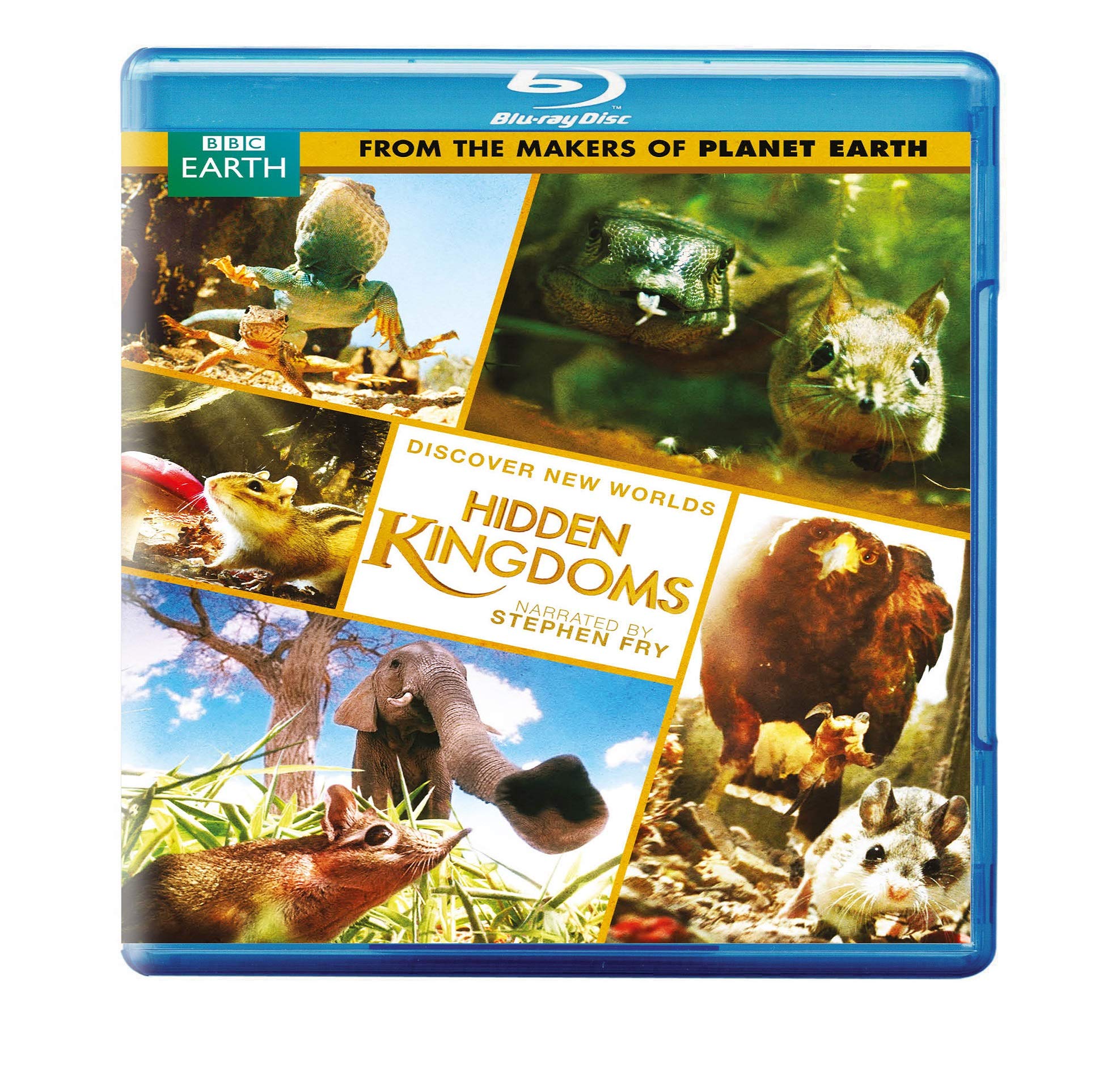 Hidden Kingdoms (Original UK Version of Discovery’s Mini Monsters) (BD) [Blu-ray]