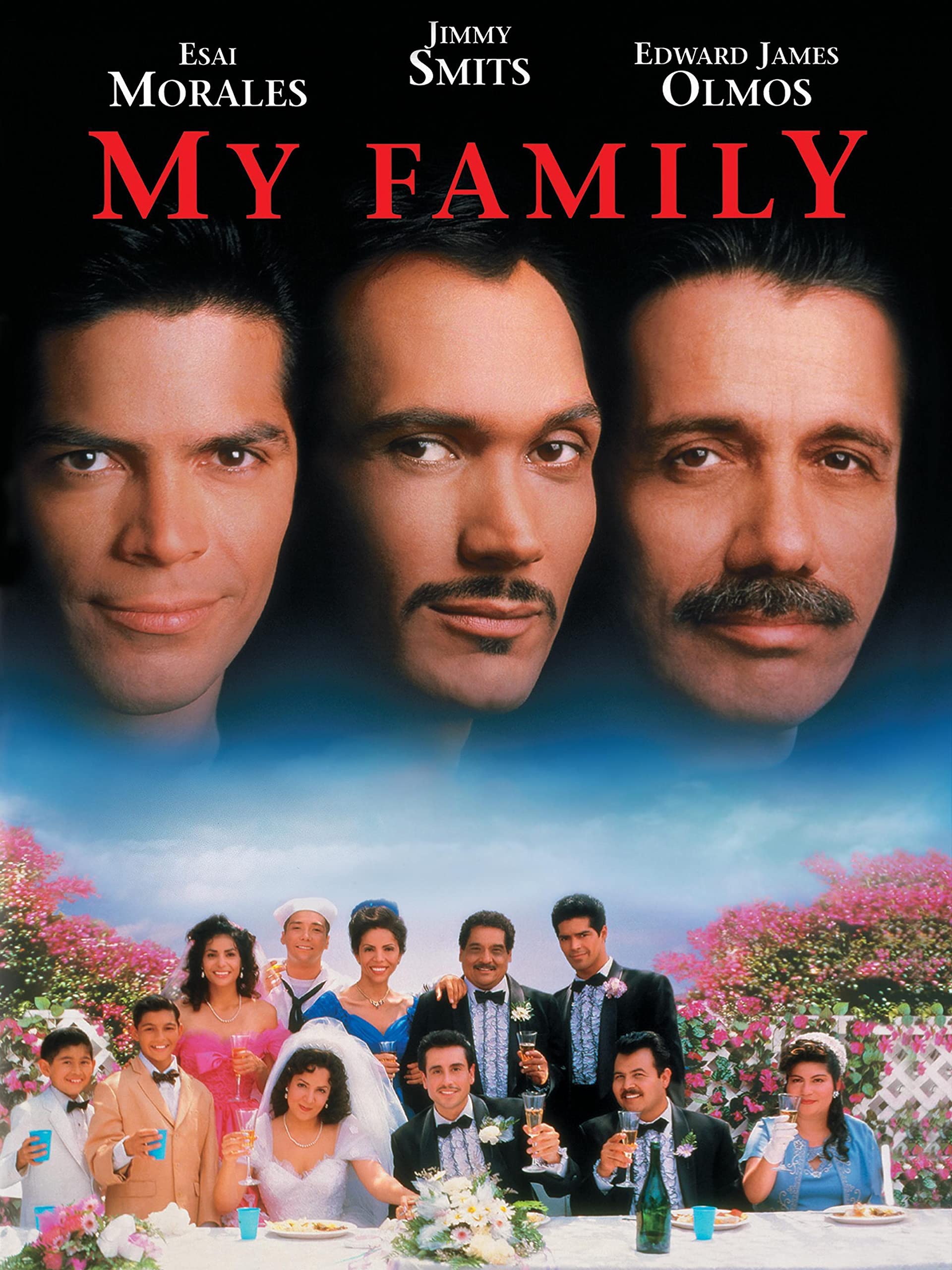 My Family, Mi Familia (DVD)