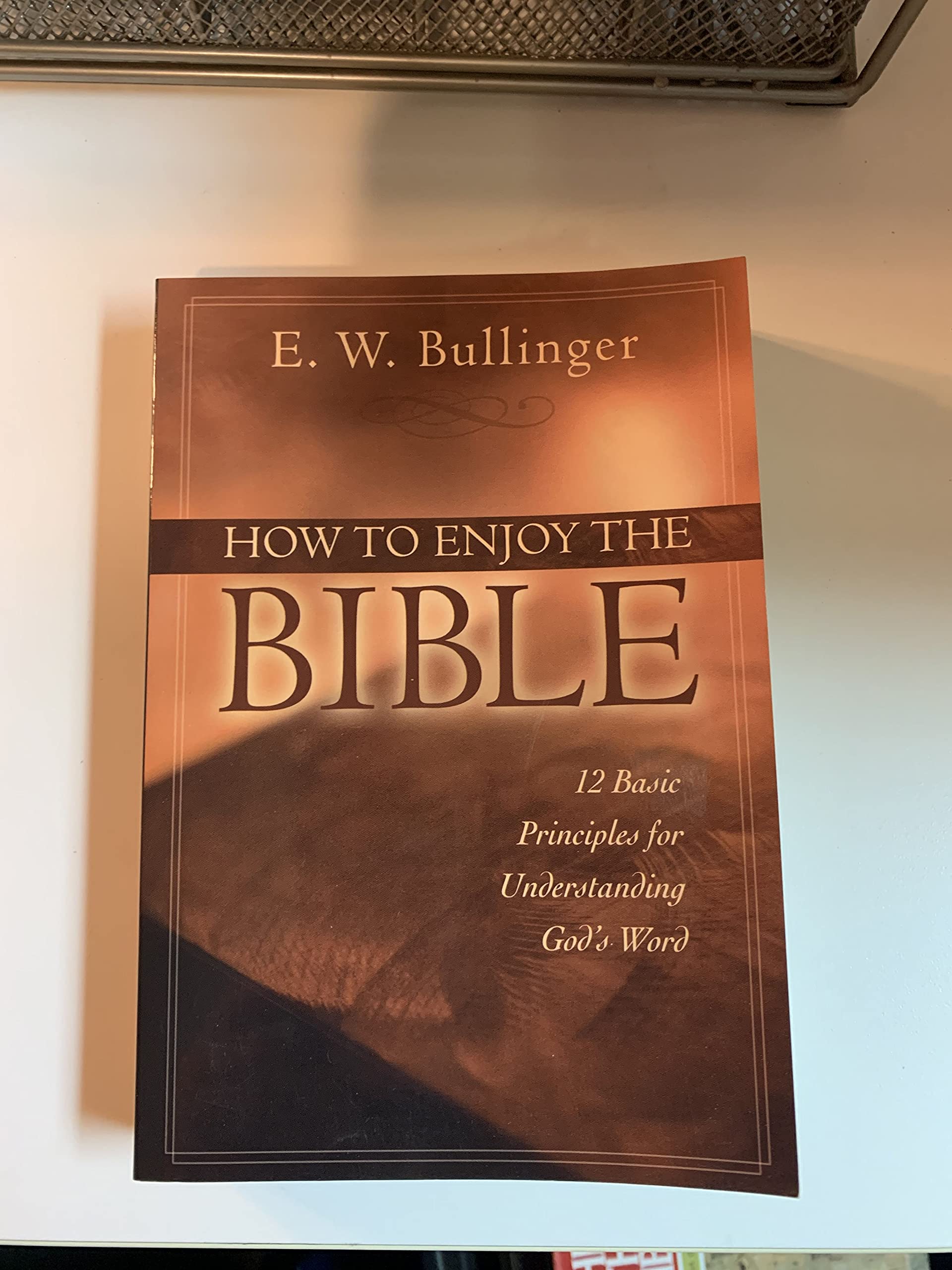 How to Enjoy the Bible: 12 Basic Principles for Understanding God's Word