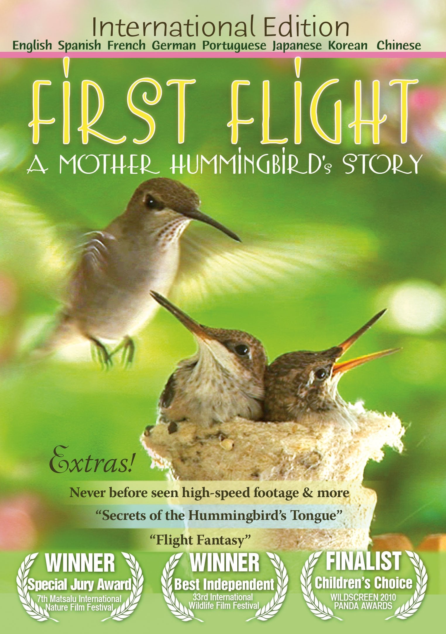 First Flight: A Mother Hummingbird's Story