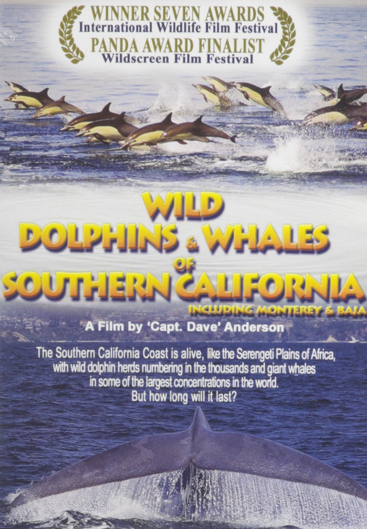 Wild Dolphins and Whales of Southern California