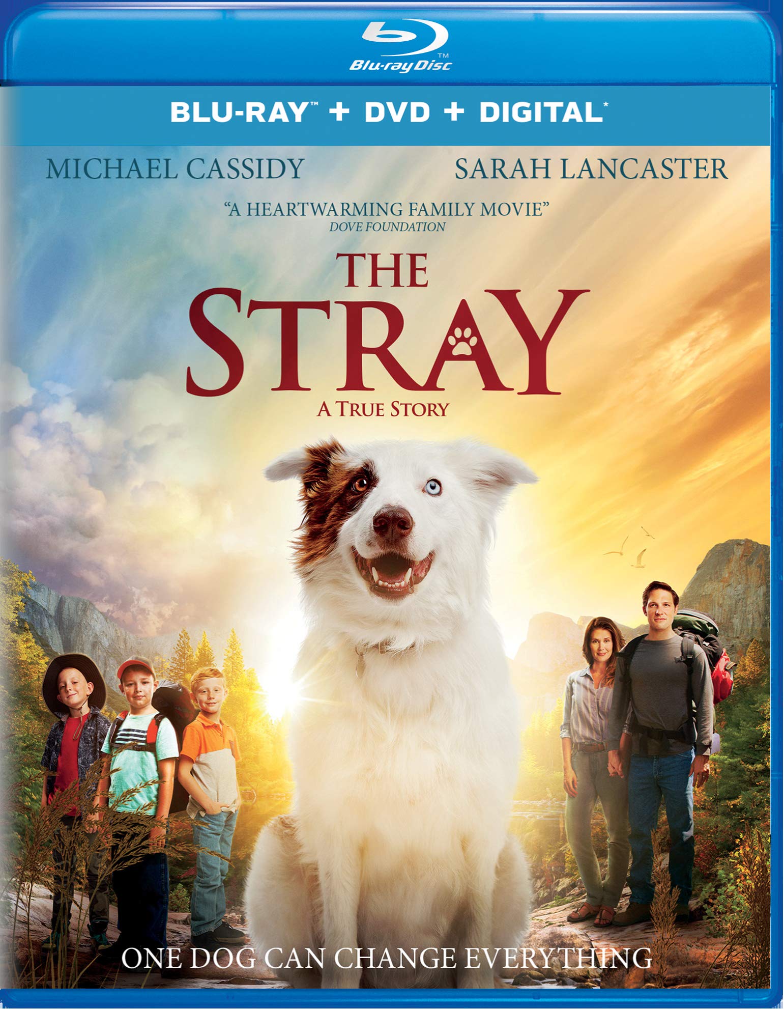 The Stray [Blu-ray]