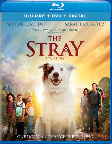 The Stray [Blu-ray]