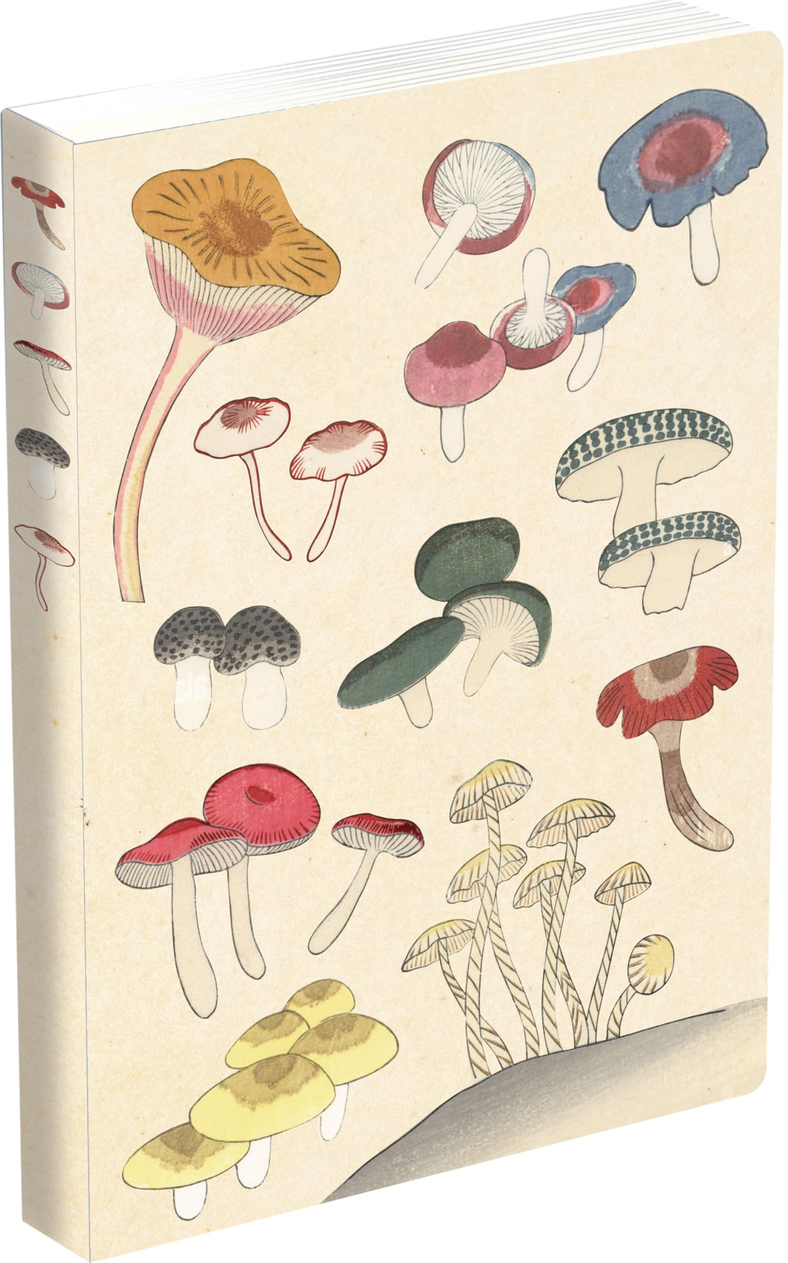 Healing Mushrooms Lined Paperback Journal: Blank Notebook with Pocket