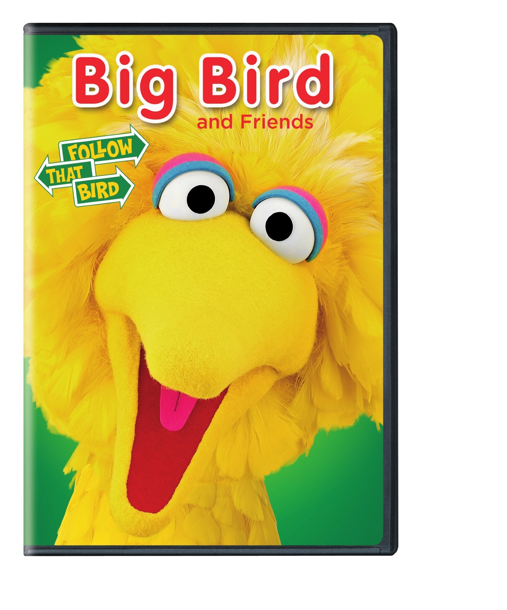 Big Bird And Friends (DVD)