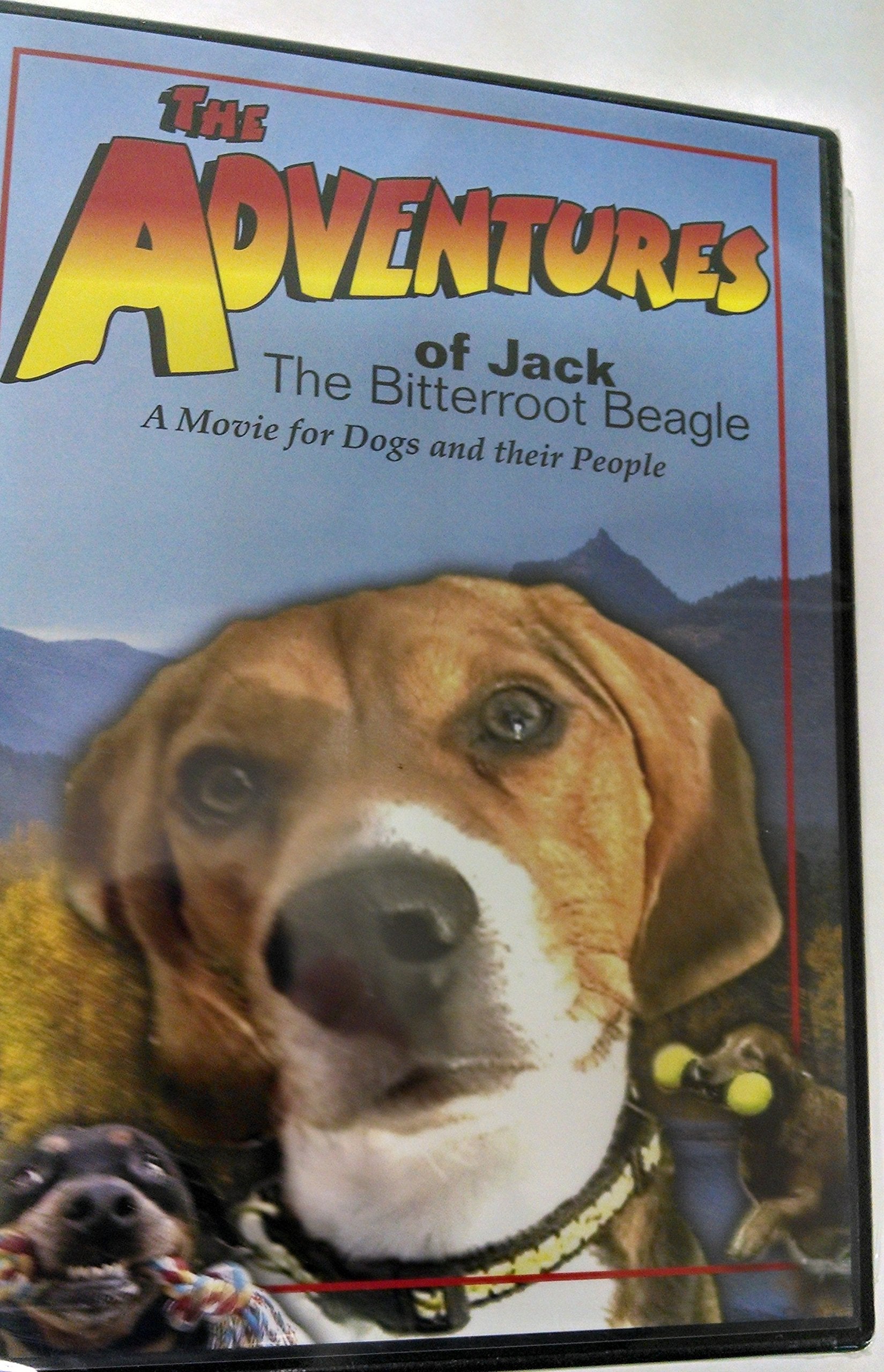 The Adventures of Jack the Bitterroot Beagle