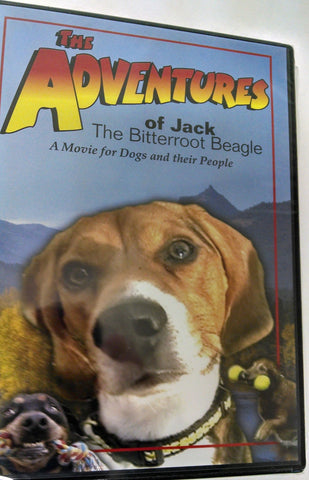The Adventures of Jack the Bitterroot Beagle