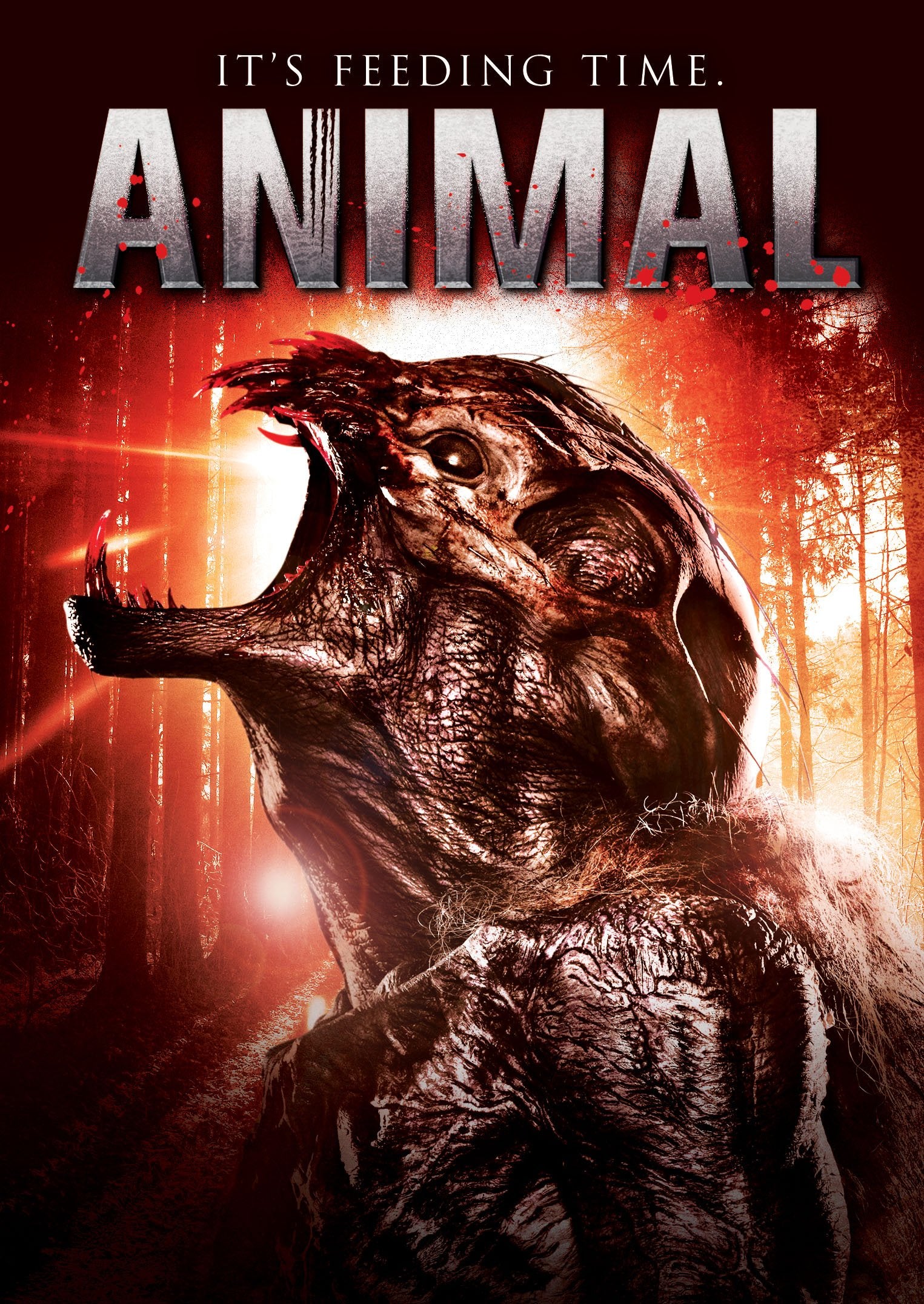 Animal [DVD]