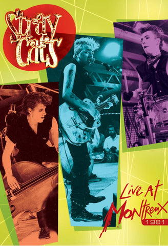 Live At Montreux 1981[DVD]