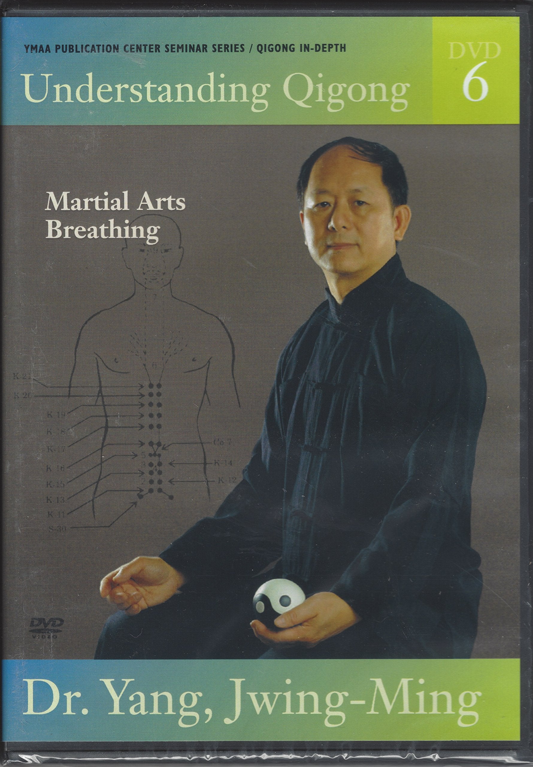 Understanding Qigong 6 [DVD]