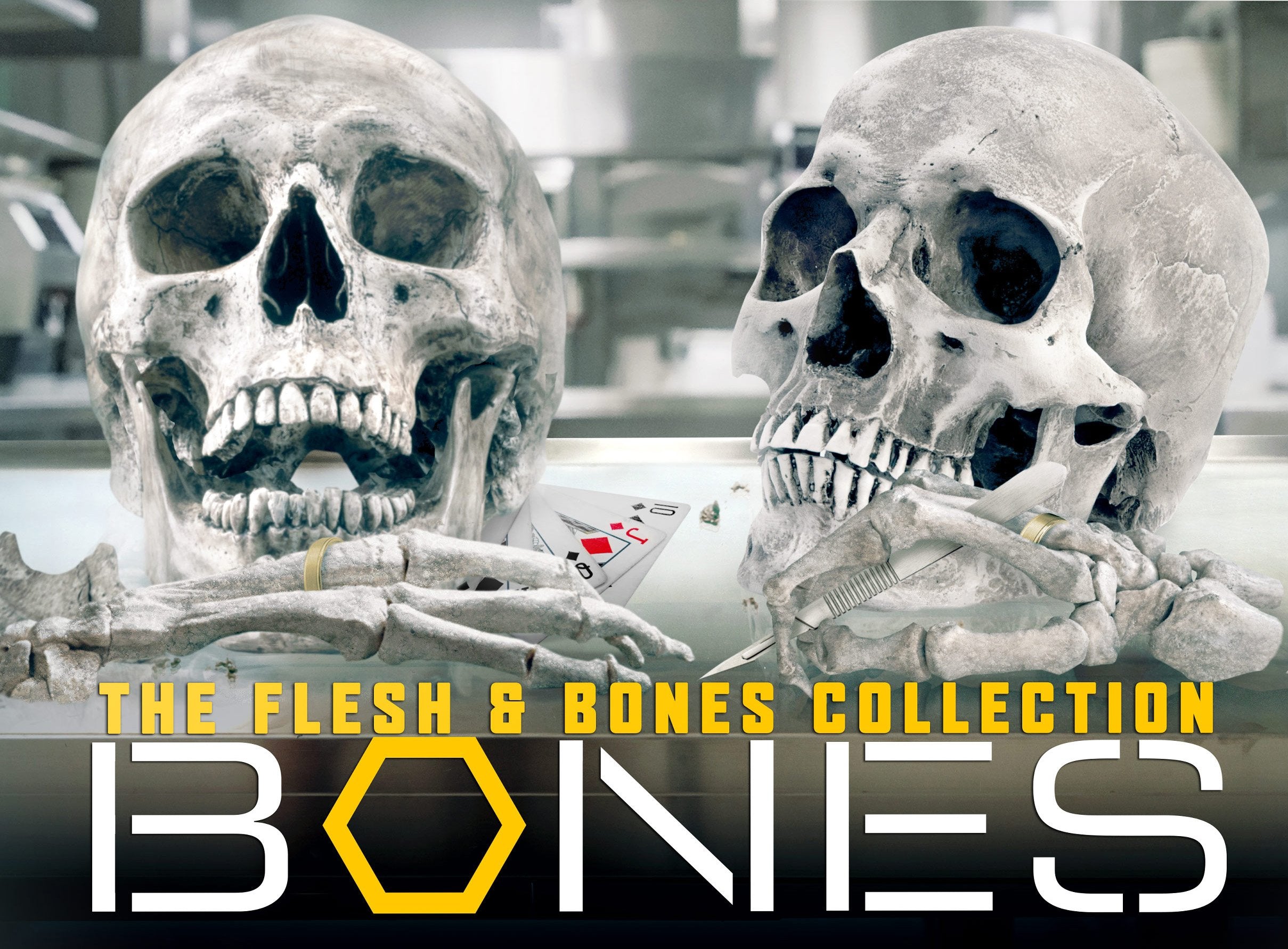 Bones: The Flesh & Bones Collection