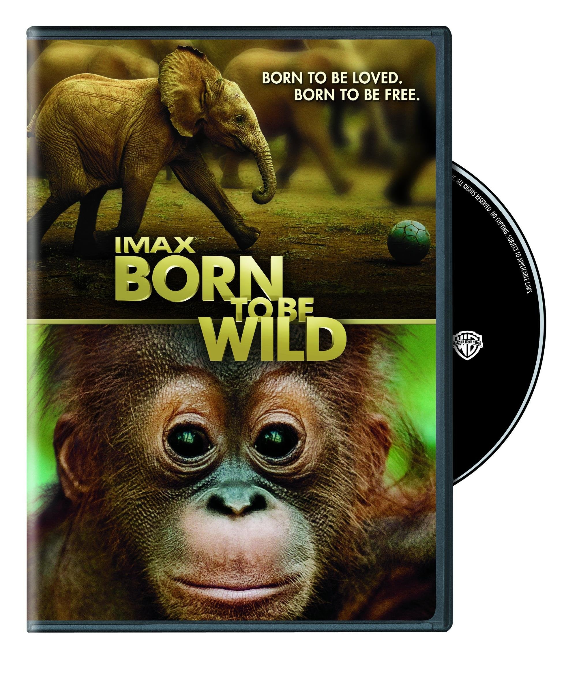 IMAX: Born to Be Wild