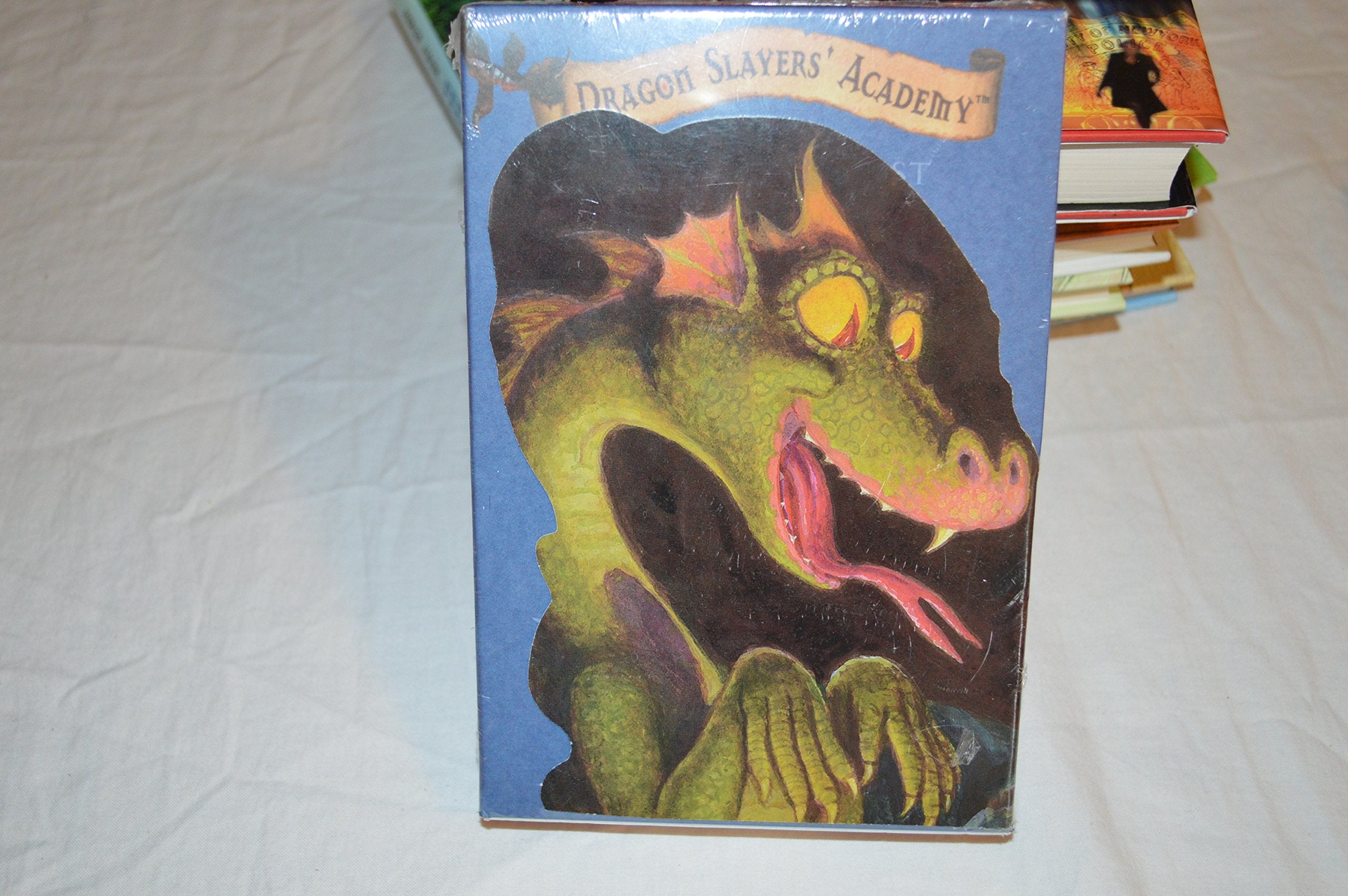 Dragon Slayers' Academy