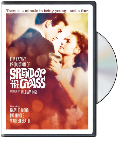 Splendor in the Grass (DVD)