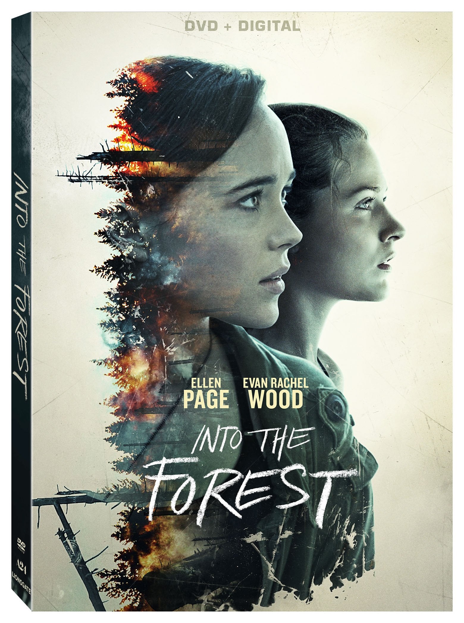Into The Forest [DVD + Digital]
