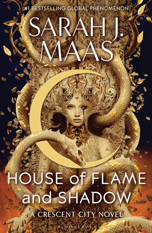 House of Flame and Shadow (International Edition)