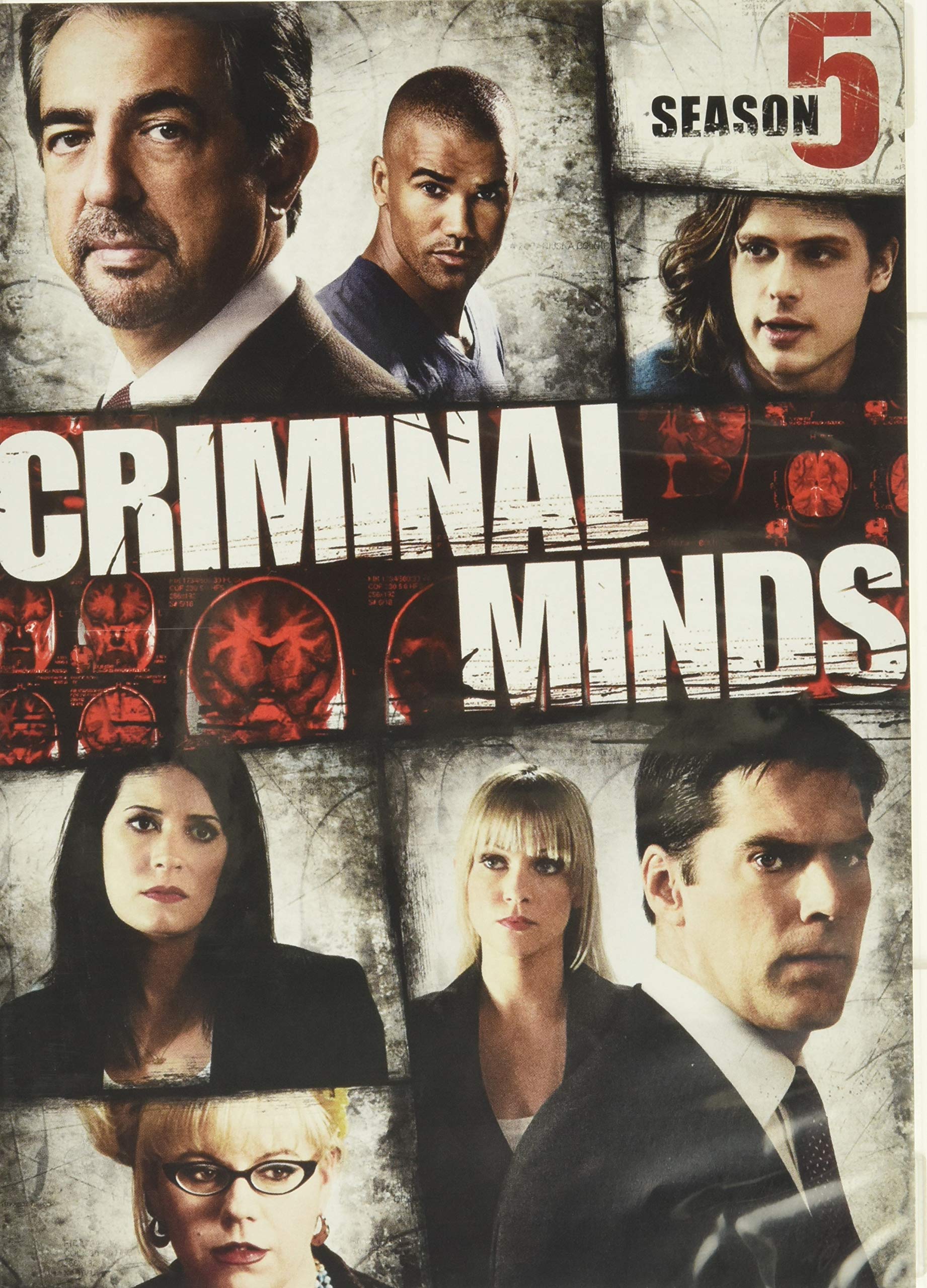 Criminal Minds: Fifth Season [DVD]