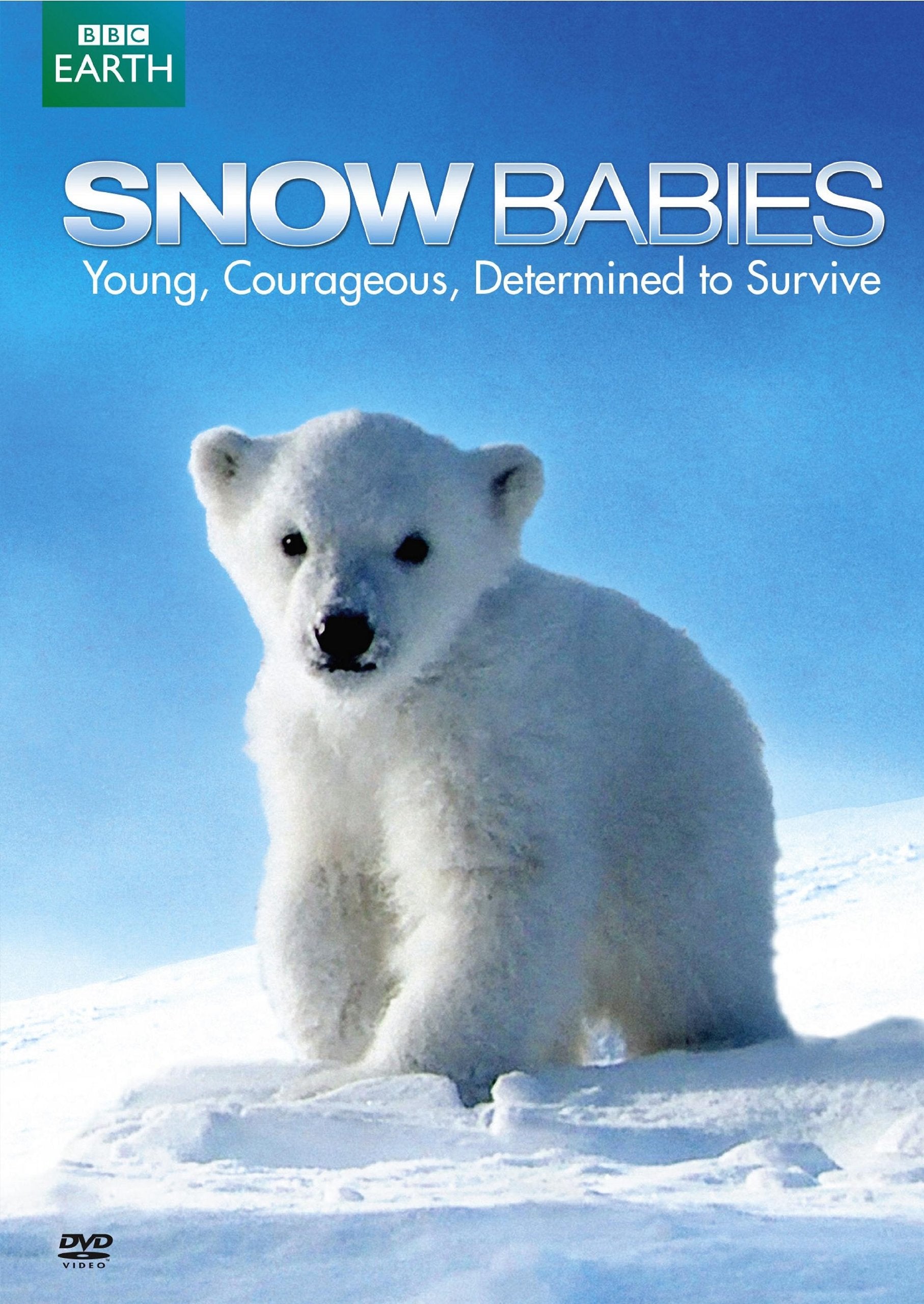 Snow Babies / Polar Bear: Spy on the Ice